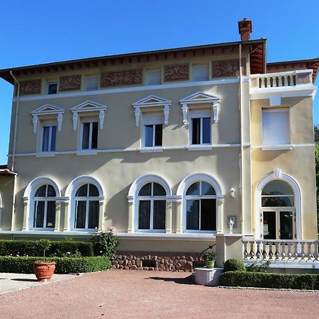 Chateau Blanchard Chazelles-sur-Lyon المظهر الخارجي الصورة